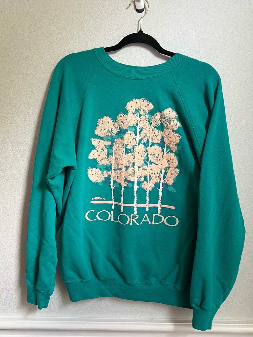 Vintage Hanes Colorado Scenic Graphic Pullover Sweater